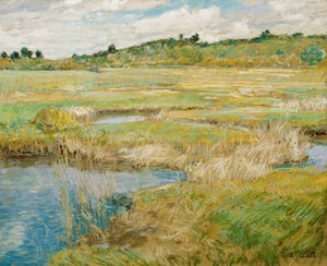 The Concord Meadow by Childe Hassam