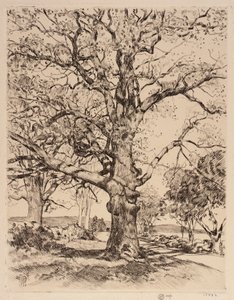Wayside Inn Oaks in Spring