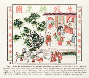 Sacrifice of a pig and a goat in celebration of the birth of a child, 1891