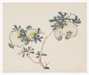 Ten Bamboo Series, 18th century