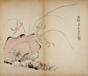 Ten Bamboo Studio Prints