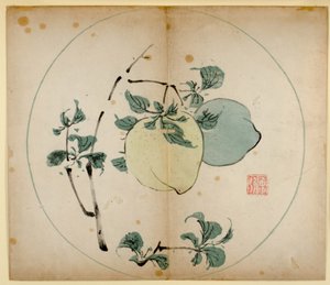 Ten Bamboo Studio Prints