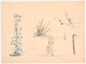 Plant Studies. A Bathhouse Bridge and a Ship by Christen Dalsgaard