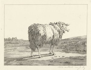 Sheep in a Landscape