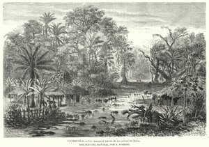 Path through the Jungles of Zulia, Venezuela by Christian Anton Goering
