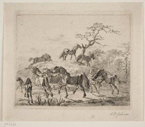 Stud Farm Horses by Christian David Gebauer