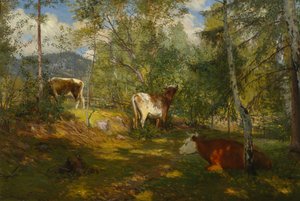 Sunspots in the Forest