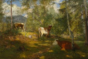 Sunspots in the Forest