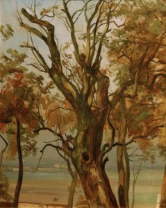Tree Study in Autumn (Elbe Bank near Dresden)