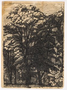 Trees by Christian Kongstad Petersen