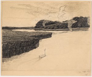 Draft for The Ugly Duckling