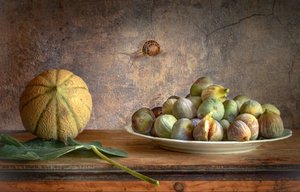 Cantaloupe Figs Snail by Christian MARCEL