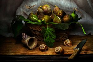 Rustic Fig Still Life