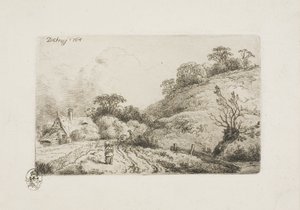 The Cornfield