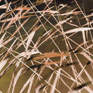 Abstract Reed Patterns by Christina Sillen