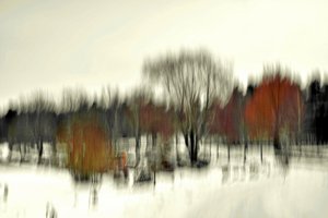Abstract Winter Forest by Christina Sillen