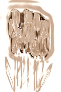 Delicate Sepia Flowers