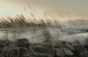 Dreamy Coastal Motion by Christina Sillen