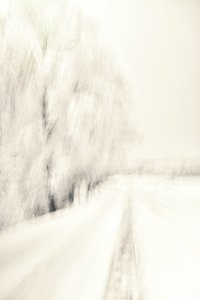 Dreamy Winter Path by Christina Sillen