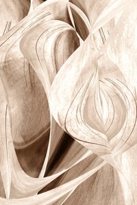 Elegant Flowing Curves by Christina Sillen