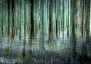 Ethereal Forest Blur