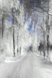 Ethereal Snowy Path by Christina Sillen