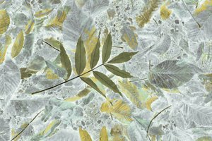 Faded Autumn Leaves by Christina Sillen