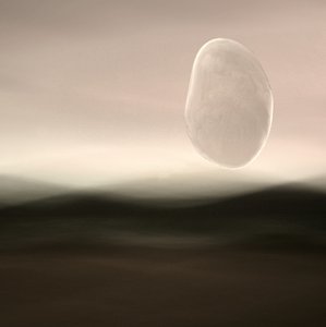 Floating Pebble Landscape by Christina Sillen