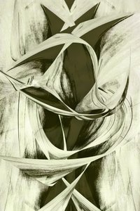 Flowing Abstract Forms by Christina Sillen