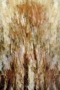 Golden Forest Impression by Christina Sillen