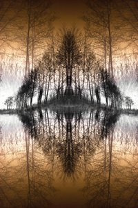 Mirrored Forest Lake by Christina Sillen