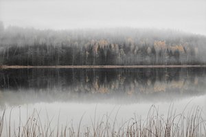 Misty Autumn Lake by Christina Sillen