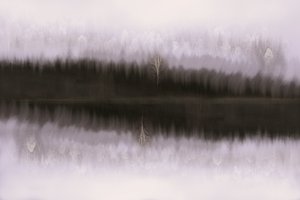 Misty Birch Reflection by Christina Sillen