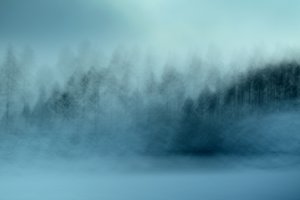 Misty Blue Forest by Christina Sillen