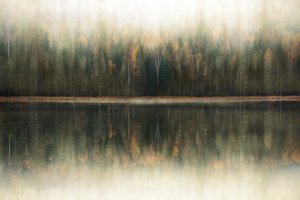 Misty Forest Reflection by Christina Sillen