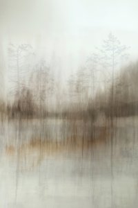 Misty Forest Reflections