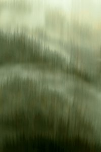 Misty Forest Serenity by Christina Sillen