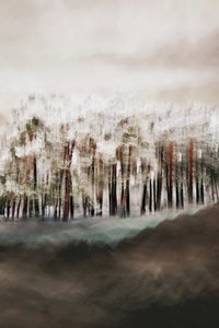 Misty Forest Serenity by Christina Sillen