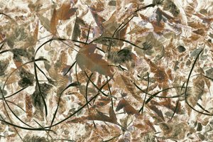 Muted Forest Foliage by Christina Sillen