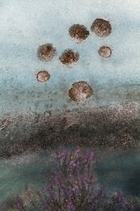 Purple Blooms and Abstract Sky by Christina Sillen