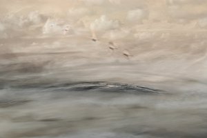 Silver Haze by Christina Sillen