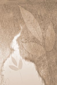Soft Botanical Glow by Christina Sillen