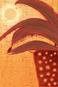Sunny Desert Plant