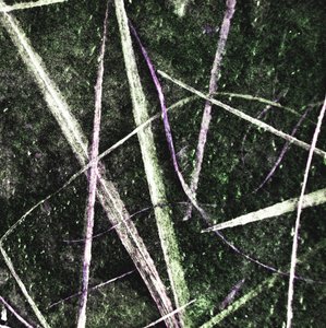 Tangled Green Lines by Christina Sillen