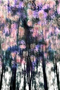 Vibrant Forest Dreams by Christina Sillen