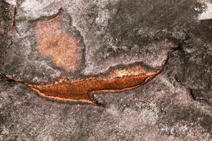 Weathered Mineral Surface
