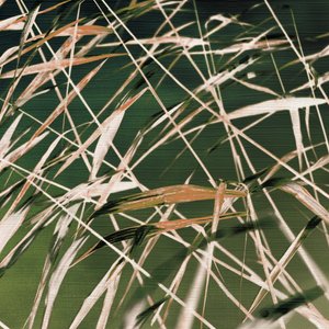 Whispering Reeds Abstract by Christina Sillen