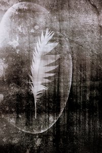 White Feather Moon