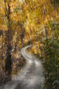 Winding Autumn Path by Christina Sillen
