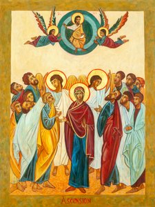 The Assumption